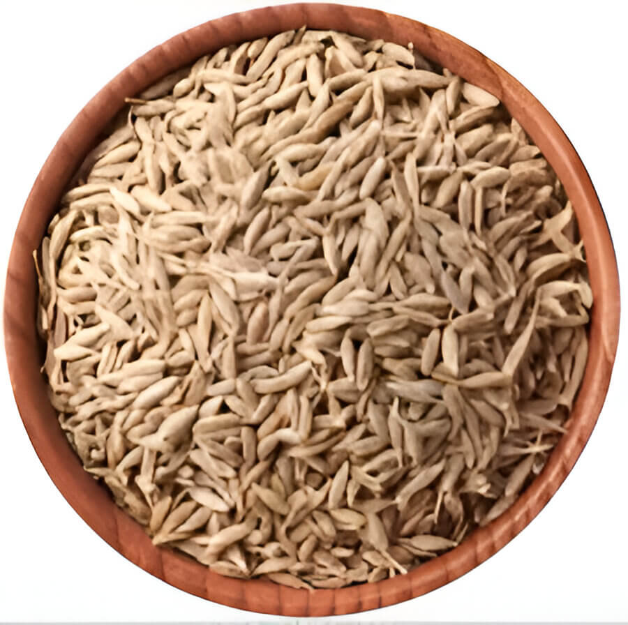 Cumin seed illustration